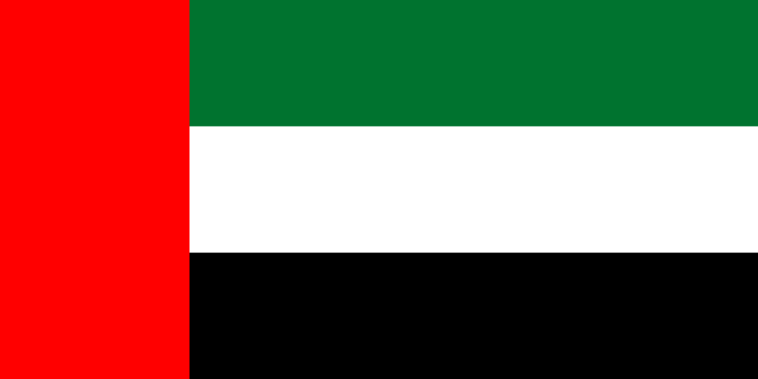 undefined flag